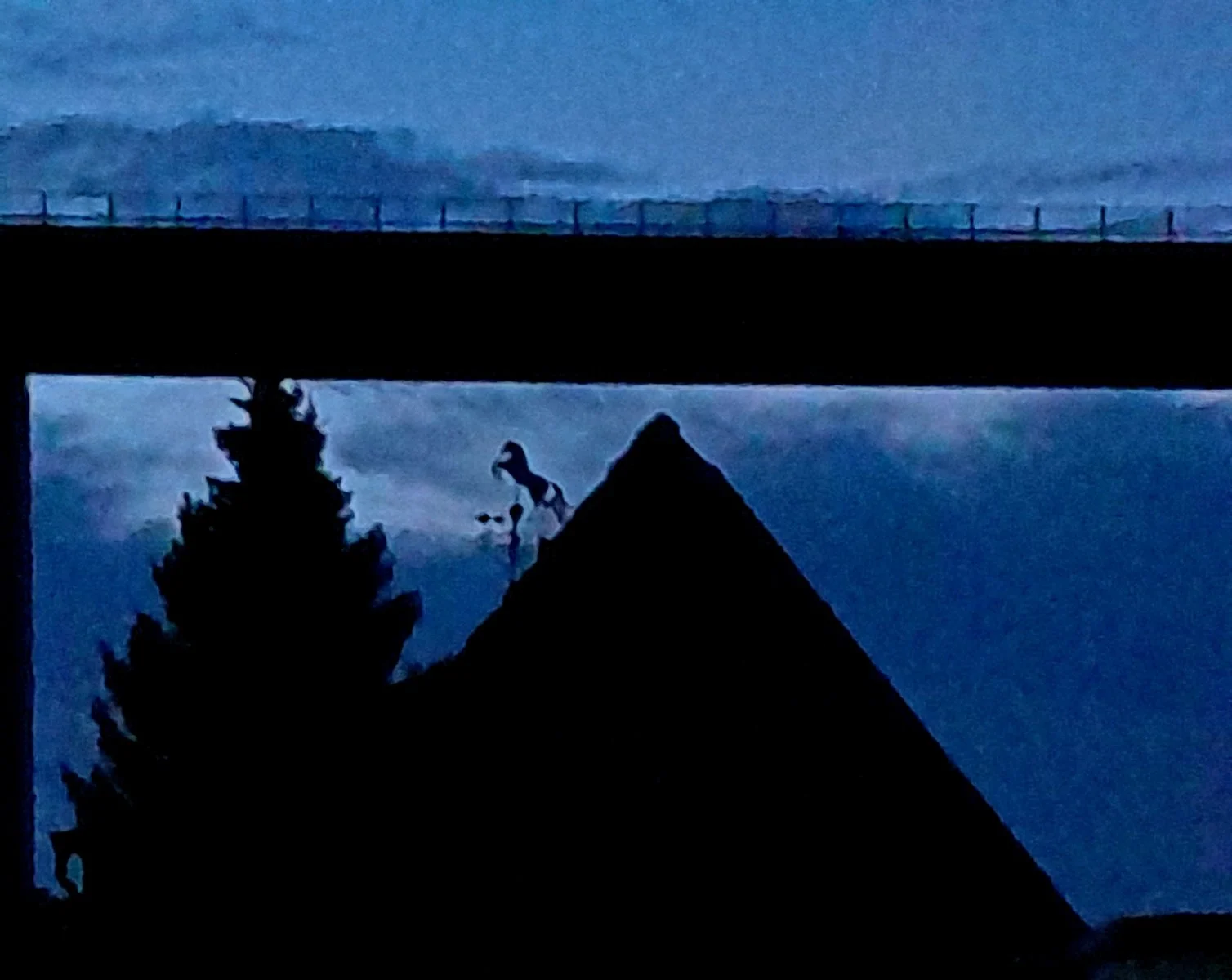 20221016_071920.jpg