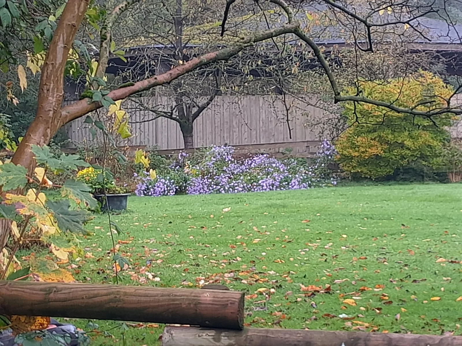 20221018_110335.jpg