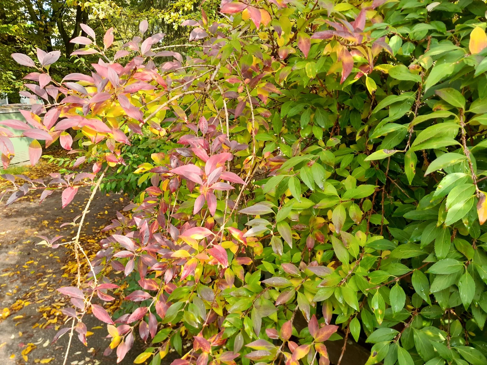 20221018_124833.jpg