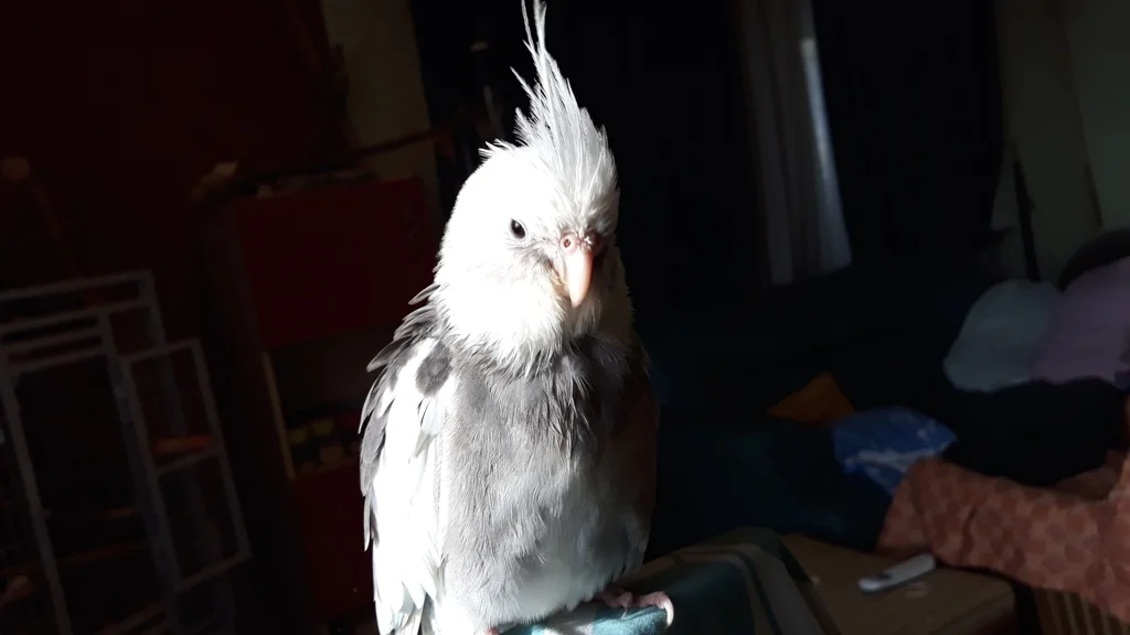 20221117_131810.jpg