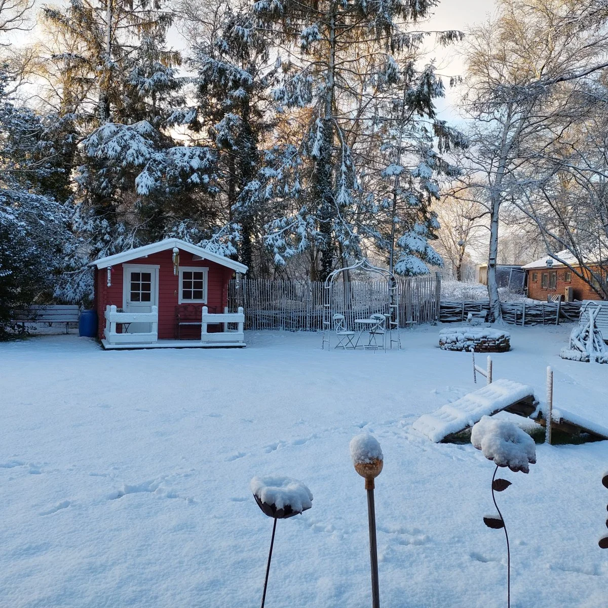 20230311_072549.jpg