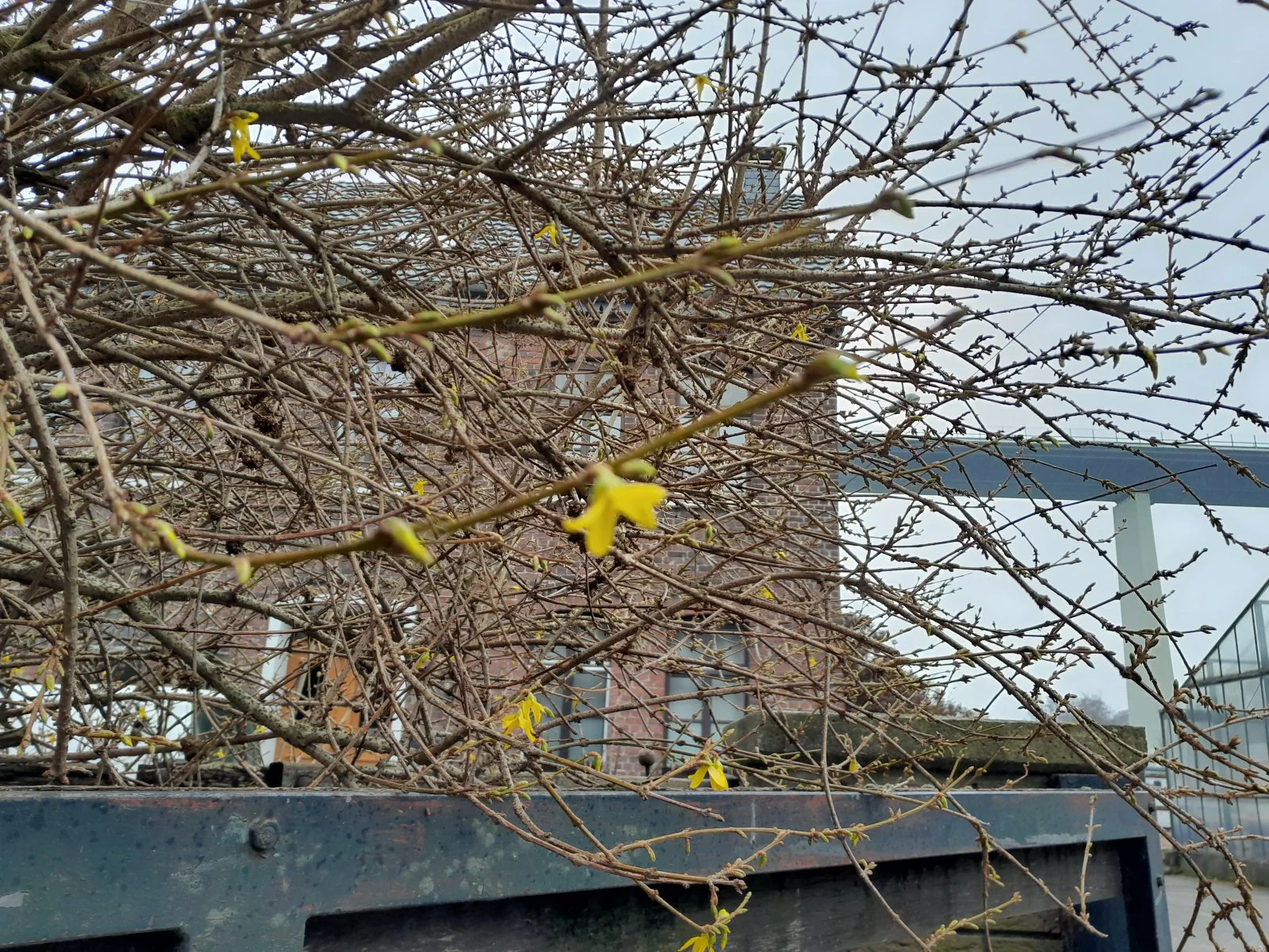 20230312_103357.jpg