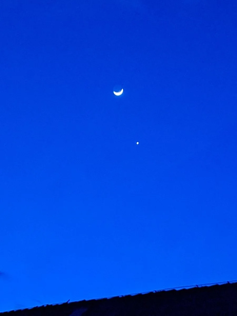 20230324_191955.jpg