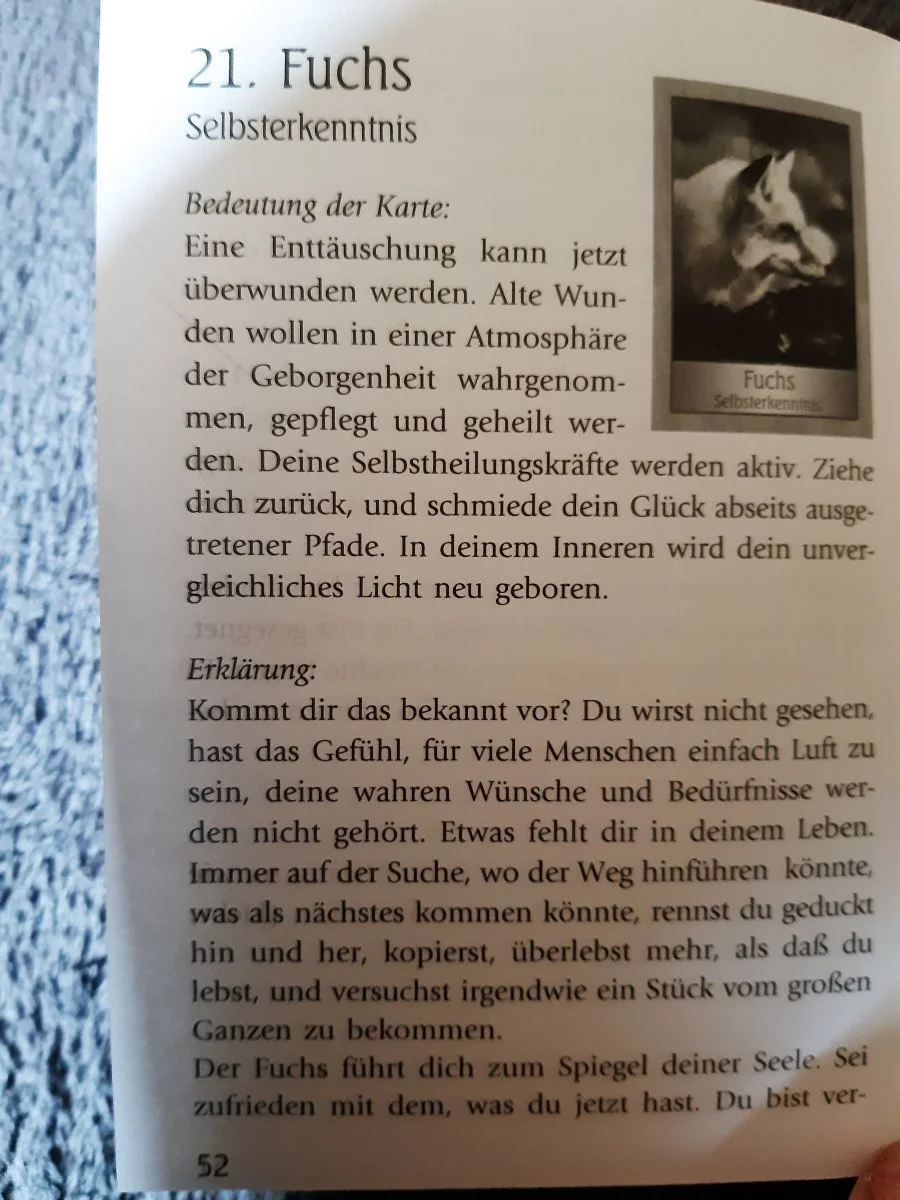 20230331_123223.jpg
