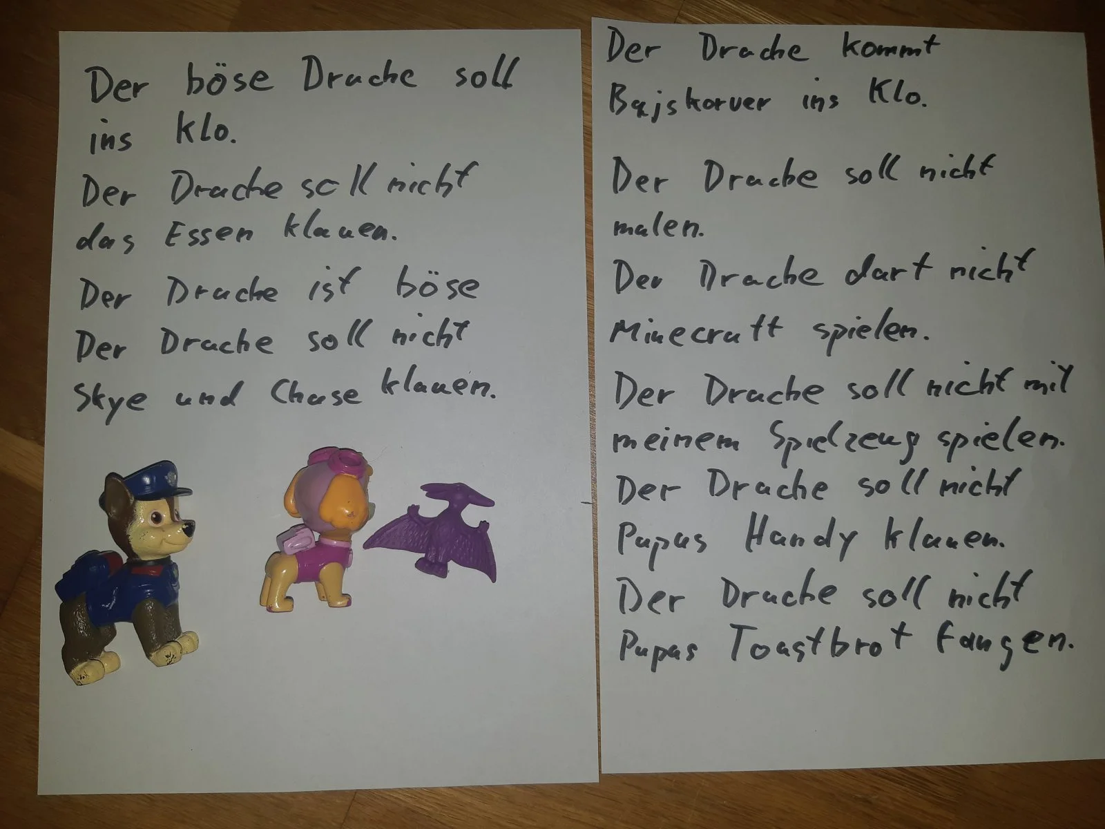 20230404_201138.jpg