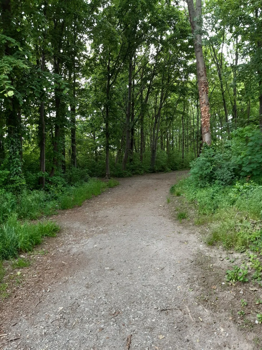 20230523_153823.jpg