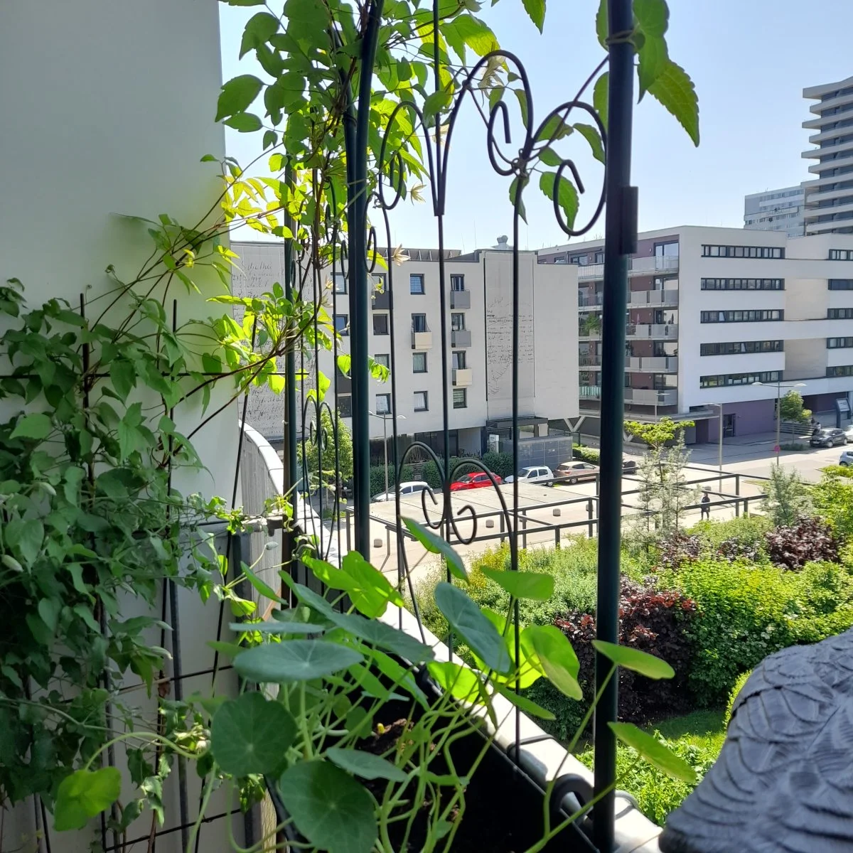 20230525_142028.jpg