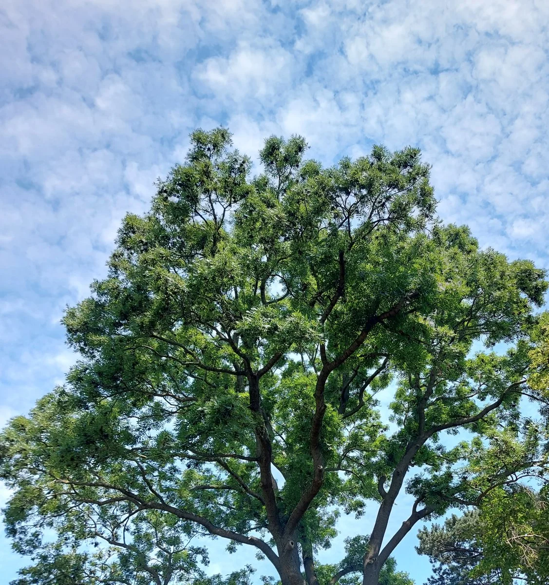 20230619_120638.jpg