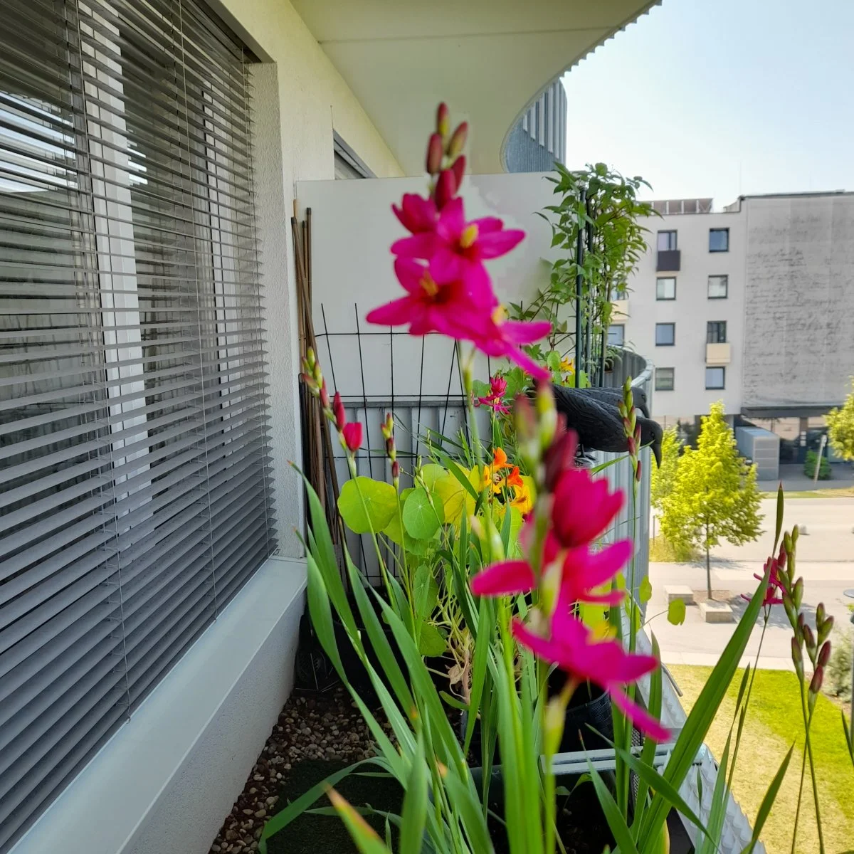 20230620_113145.jpg