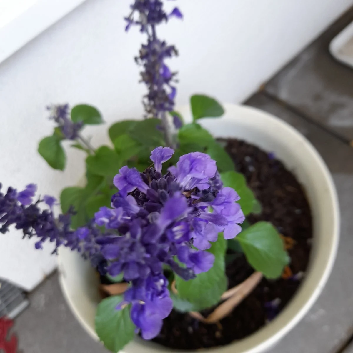 20230620_113841.jpg