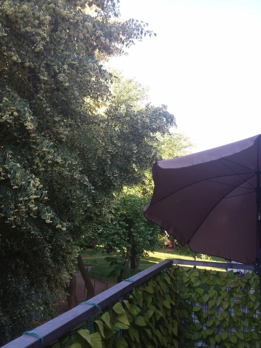 20230624_200154.jpg