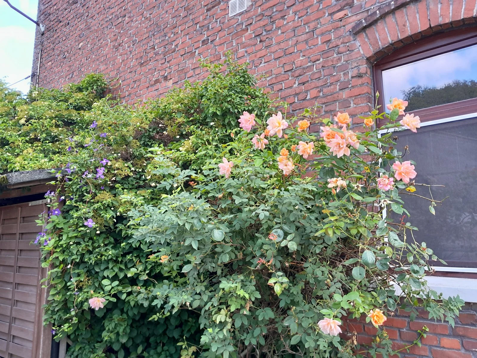 20230702_092233.jpg