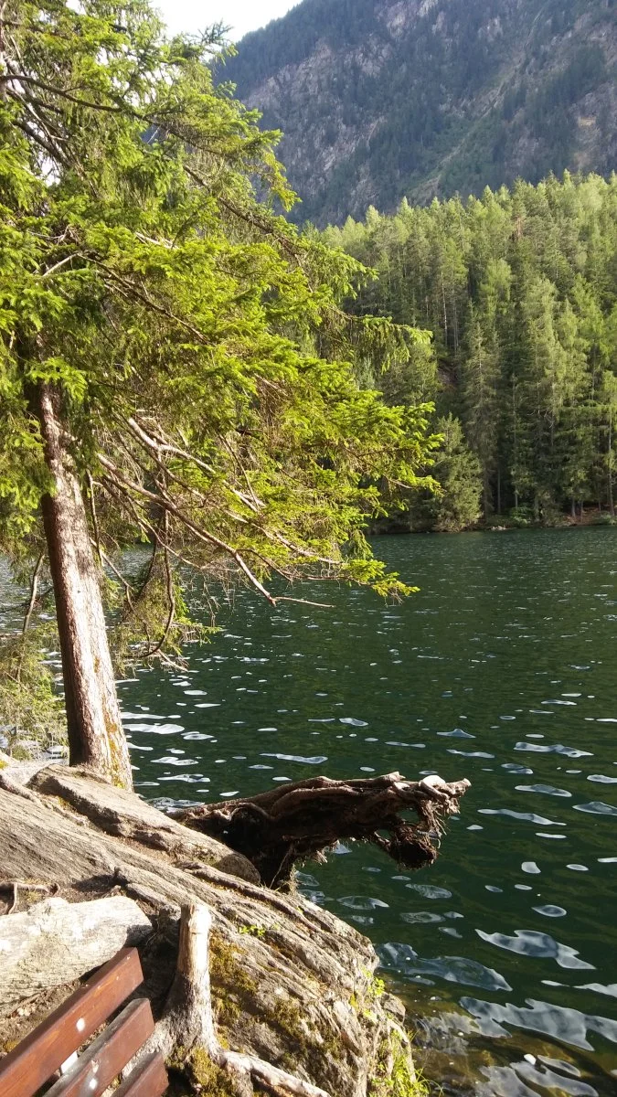 20230702_184153.jpg
