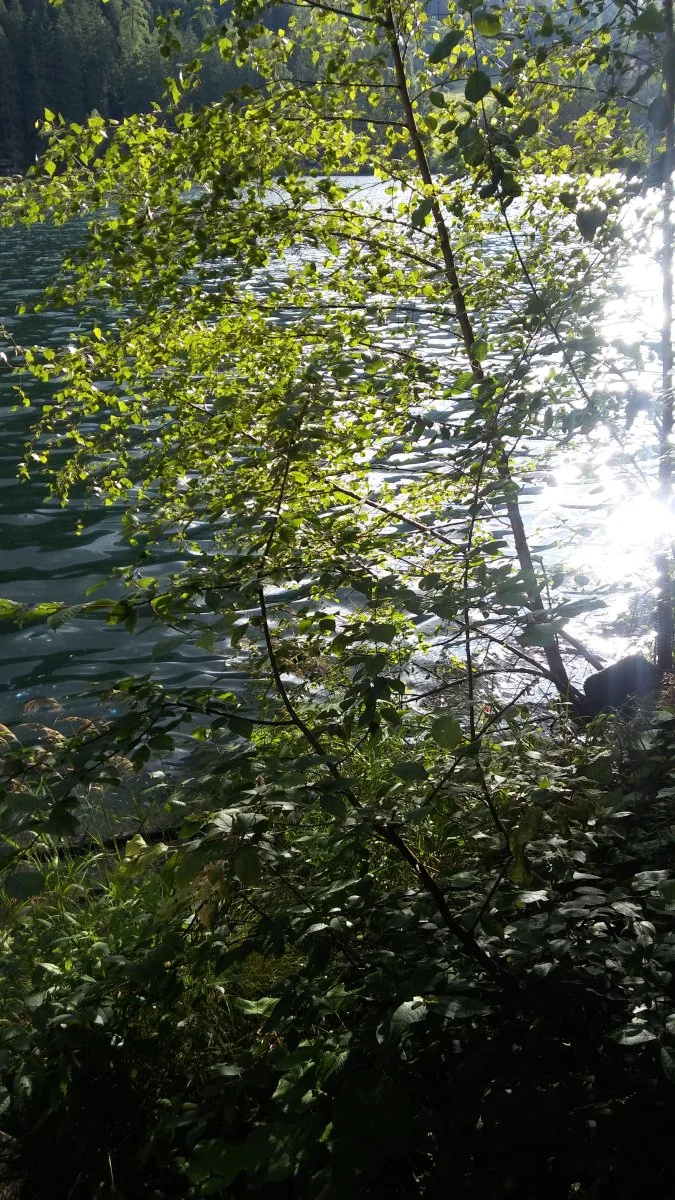 20230702_184950.jpg