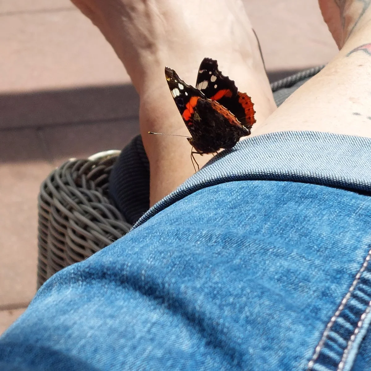 20230712_143036.jpg