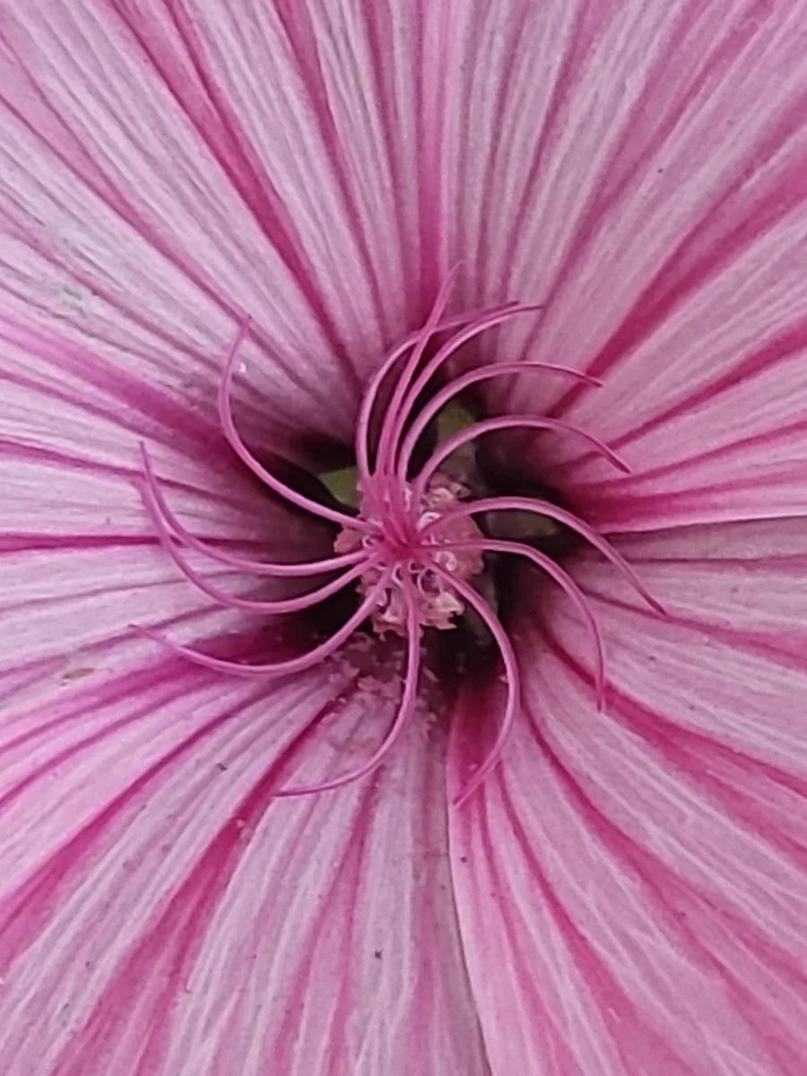 20230722_195826.jpg