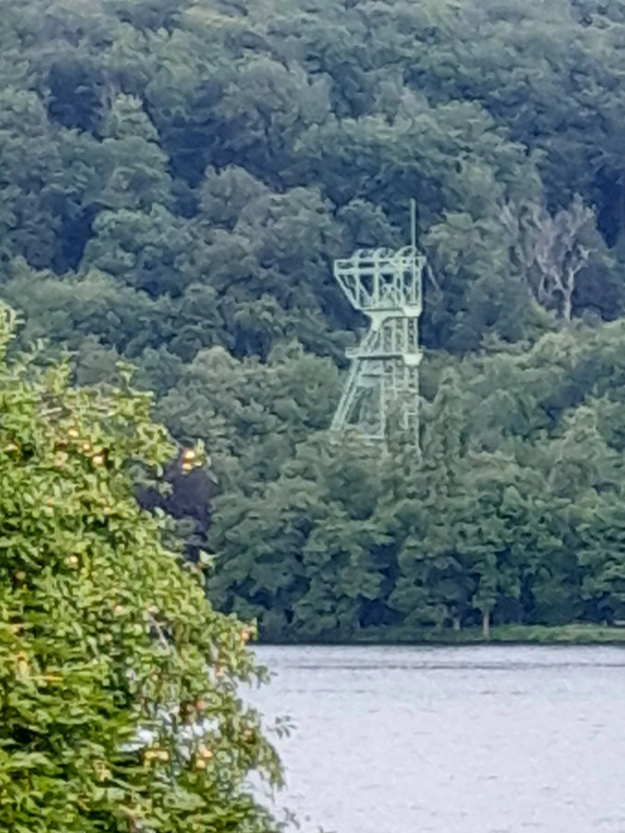 20230804_125640.jpg