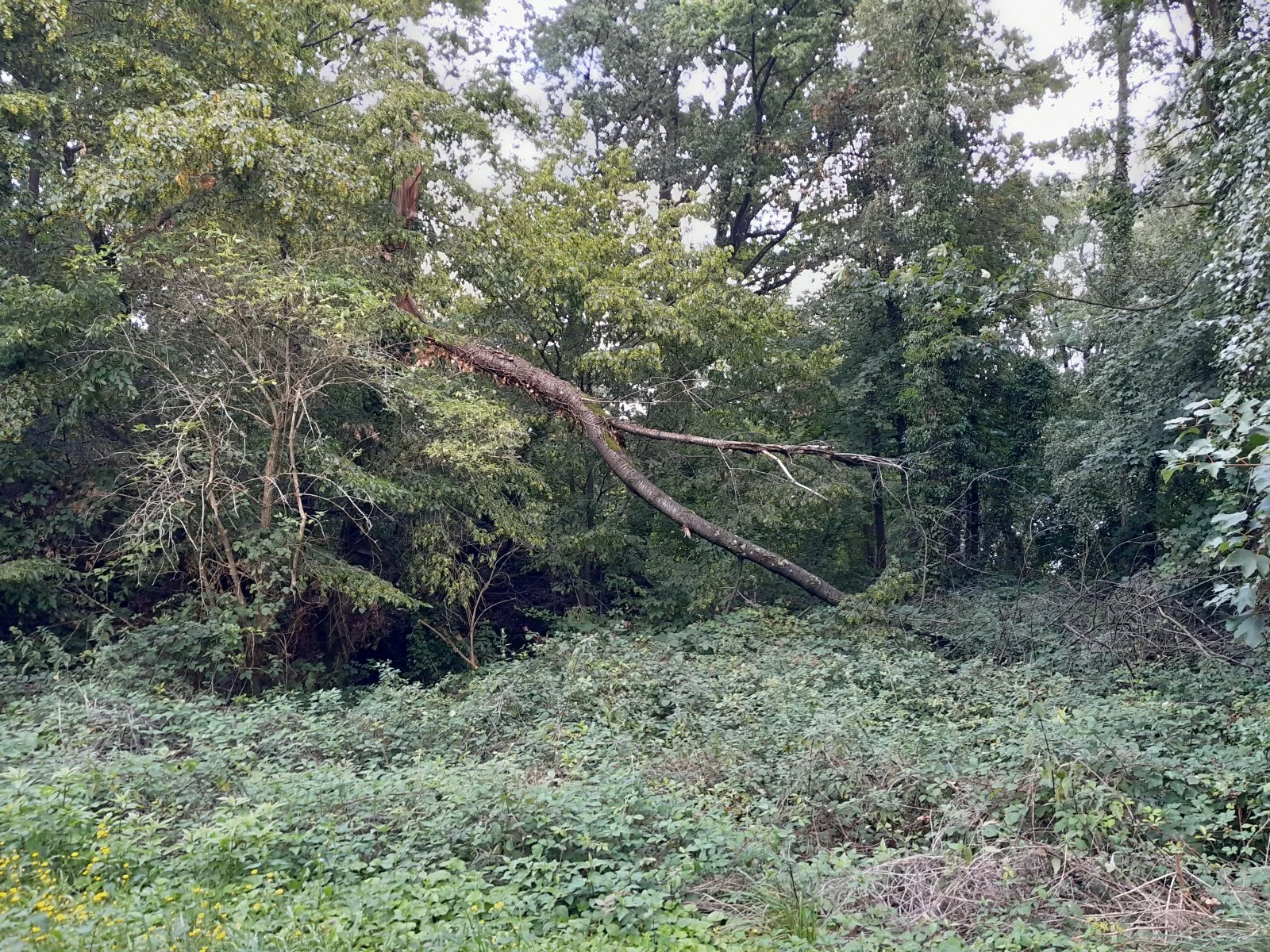 20230804_130327.jpg