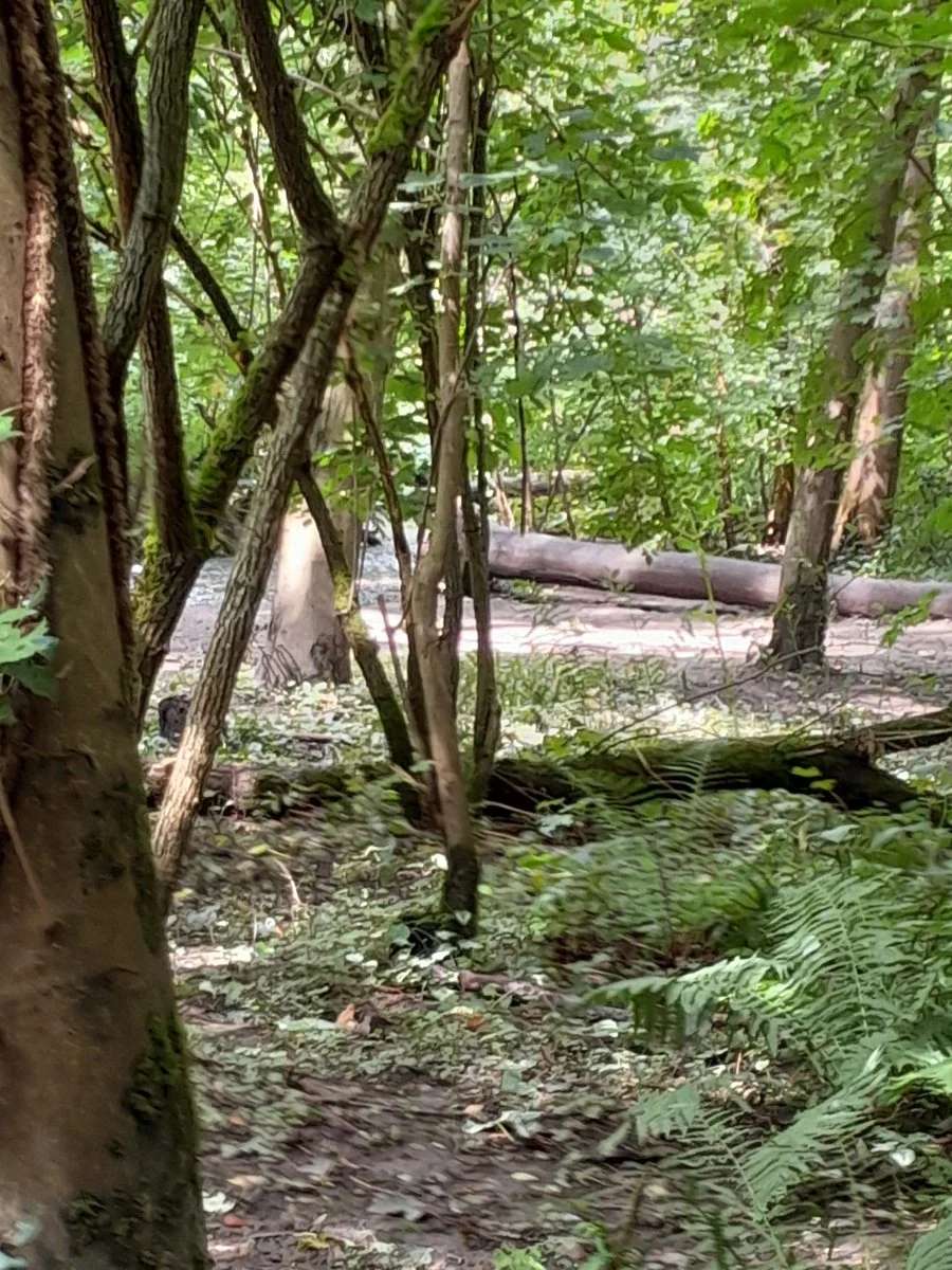 20230804_132058.jpg