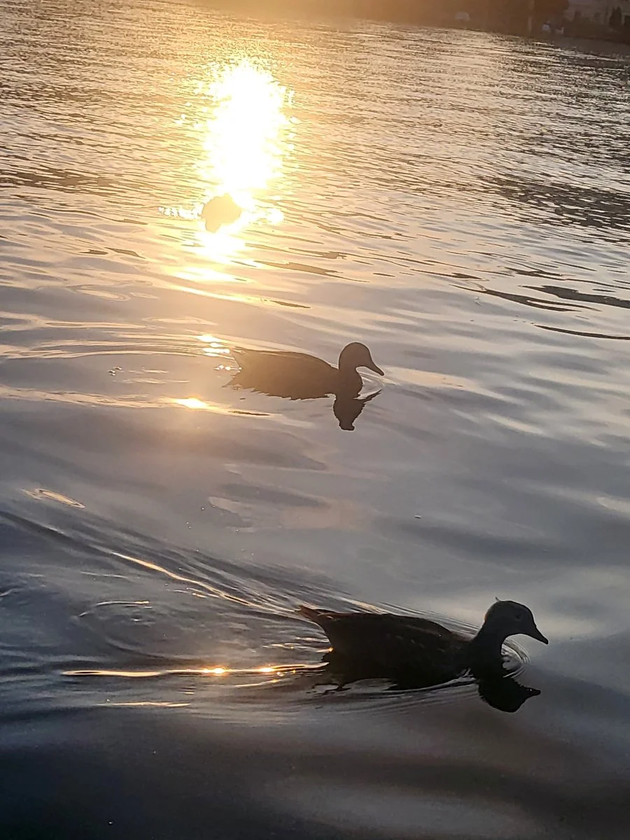 20230816_193530.jpg