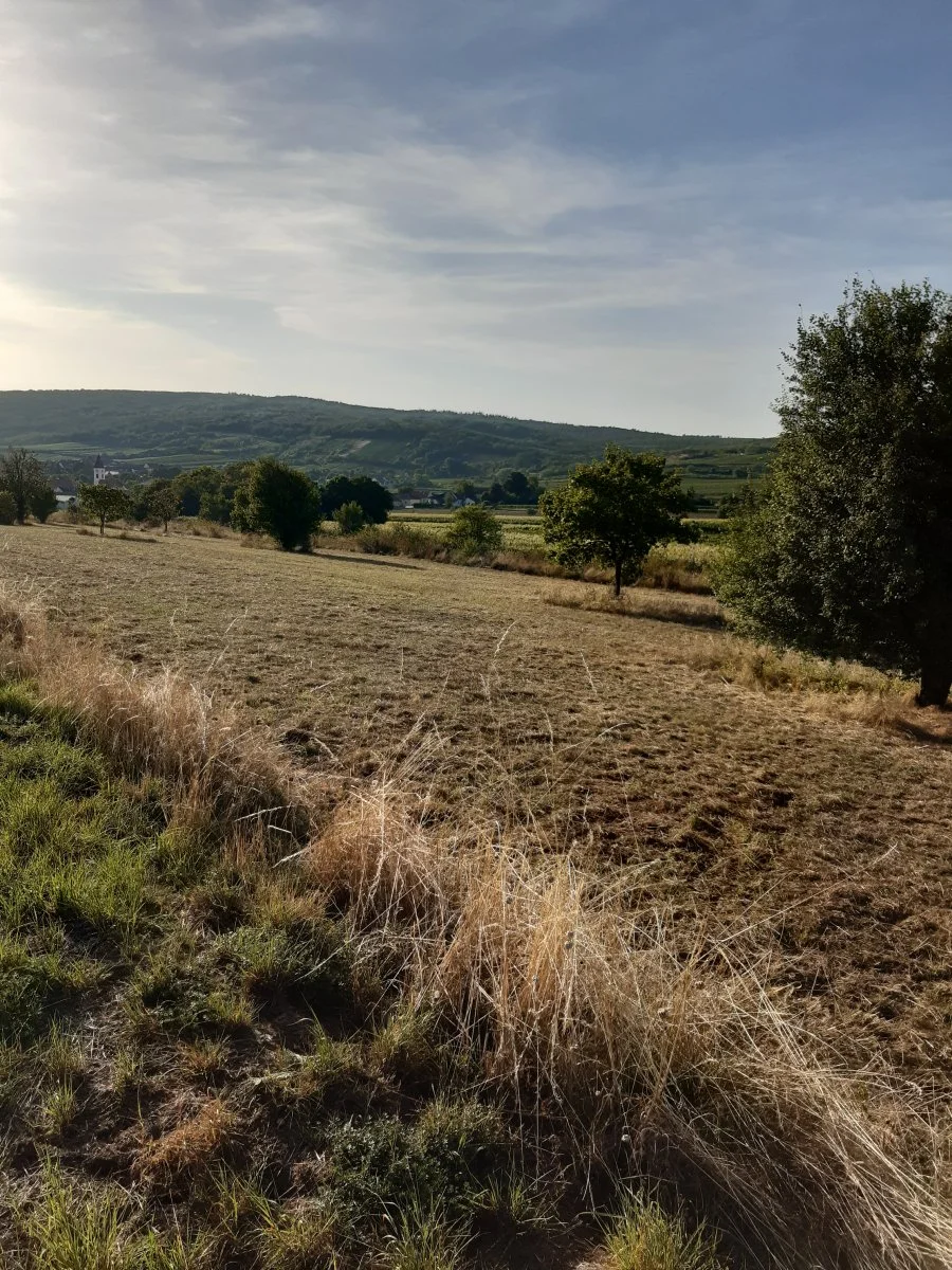 20230909_173334.jpg