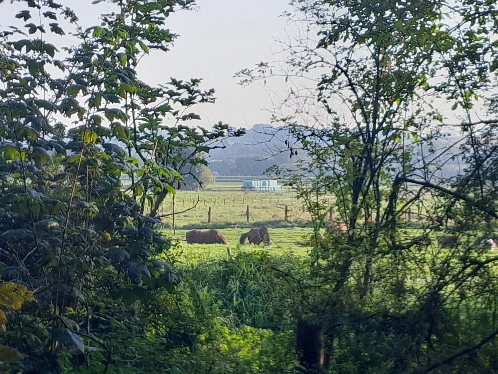 20230910_090303.jpg