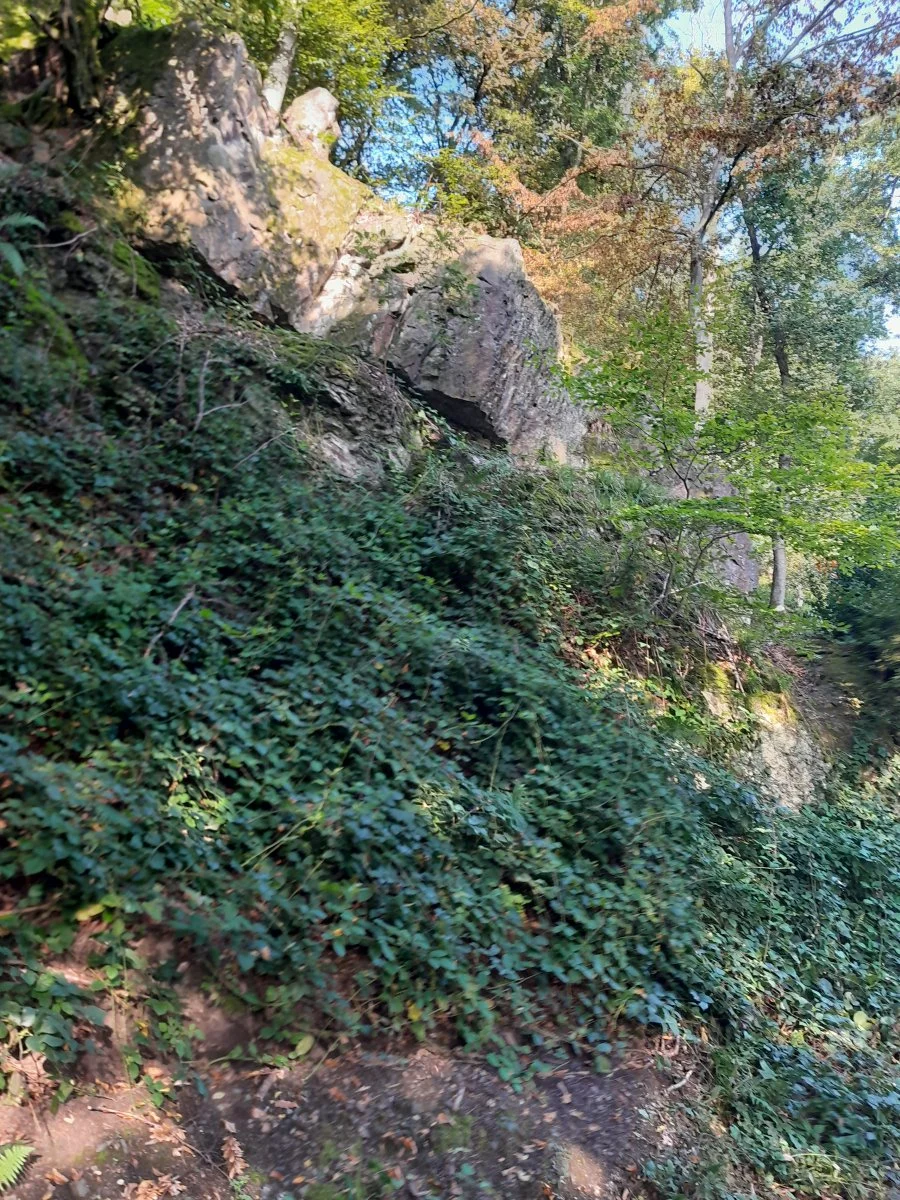 20230910_091725.jpg