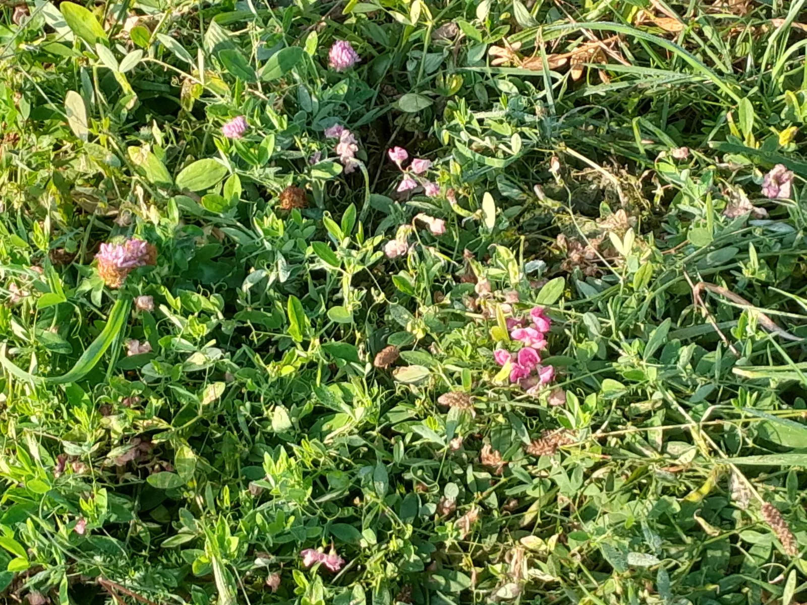 20230910_092809.jpg