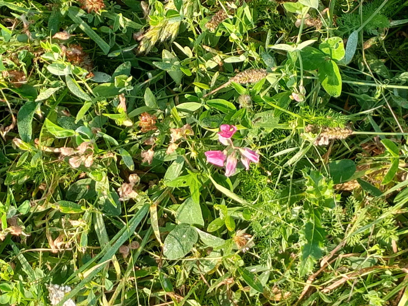 20230910_092818.jpg