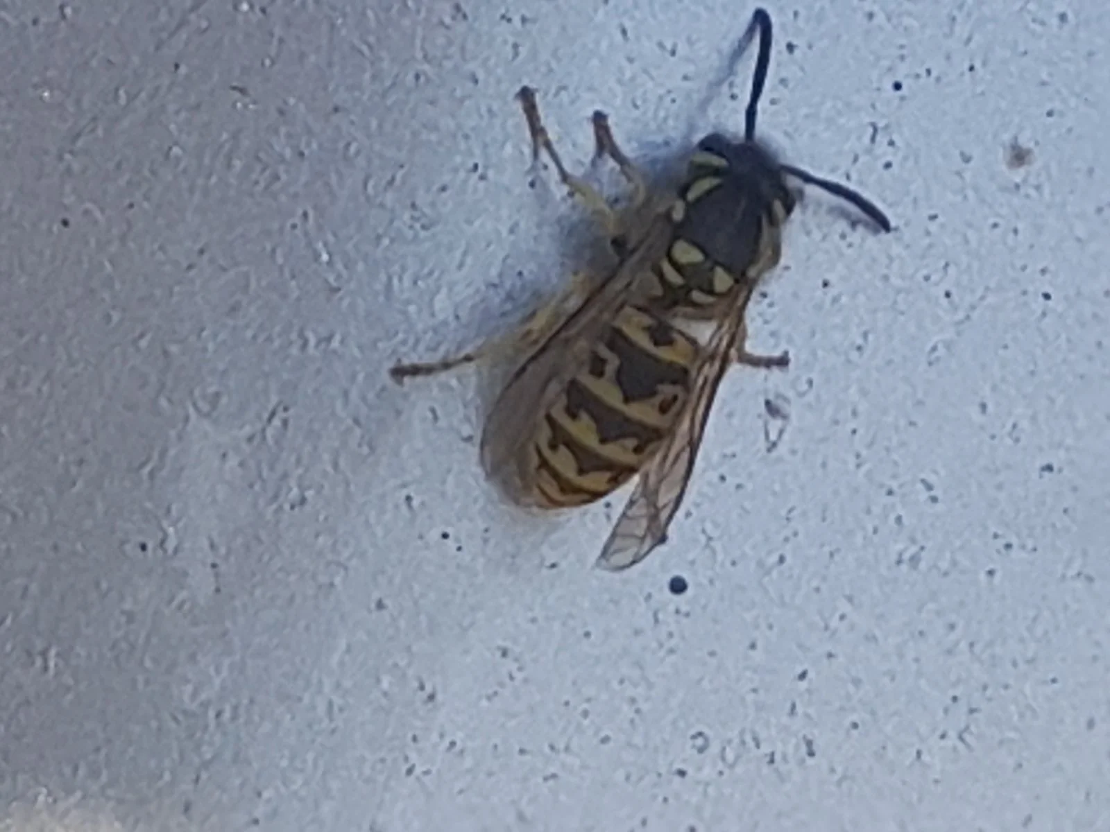 20230910_094530.jpg