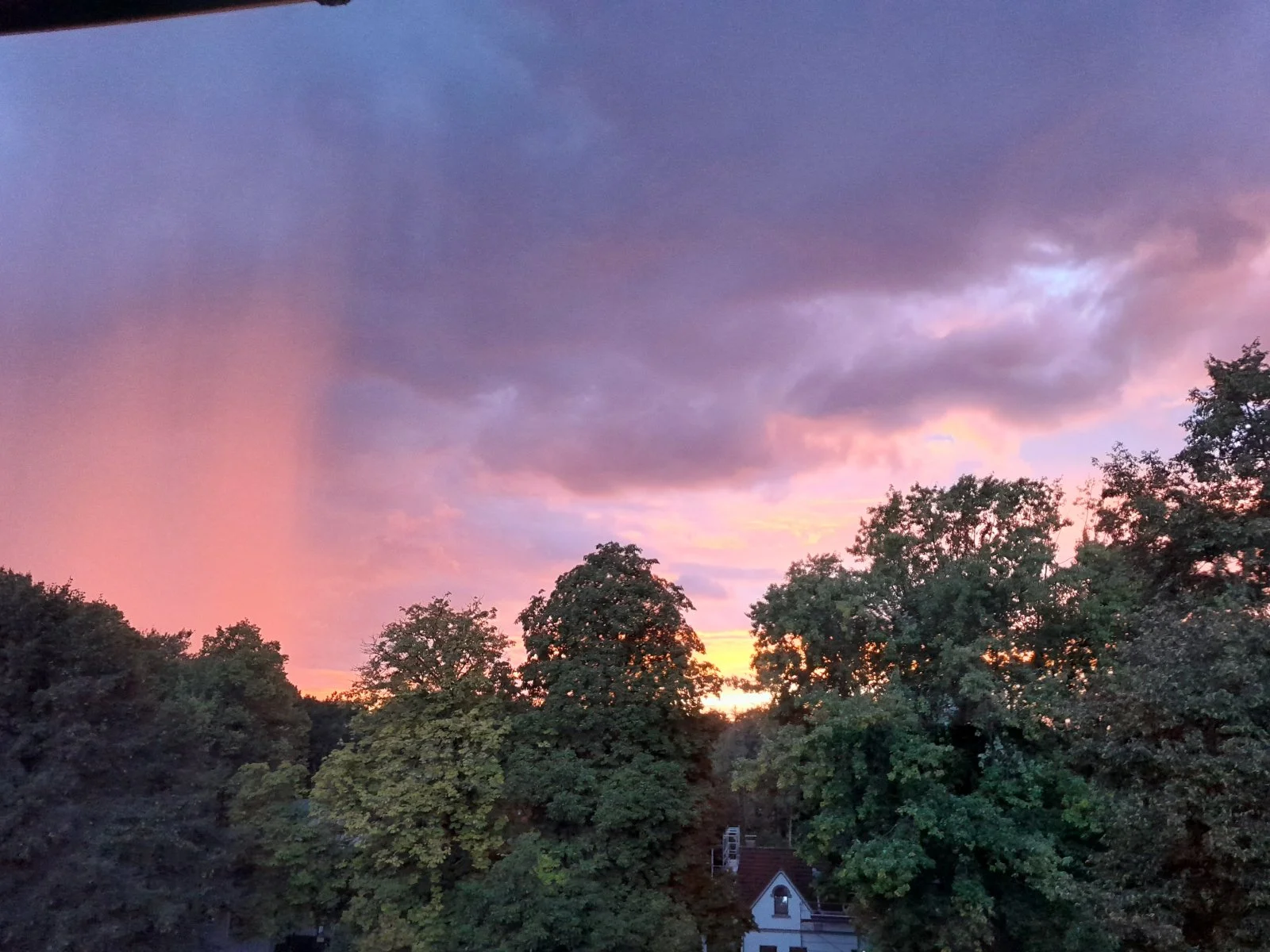 20230918_193712.jpg