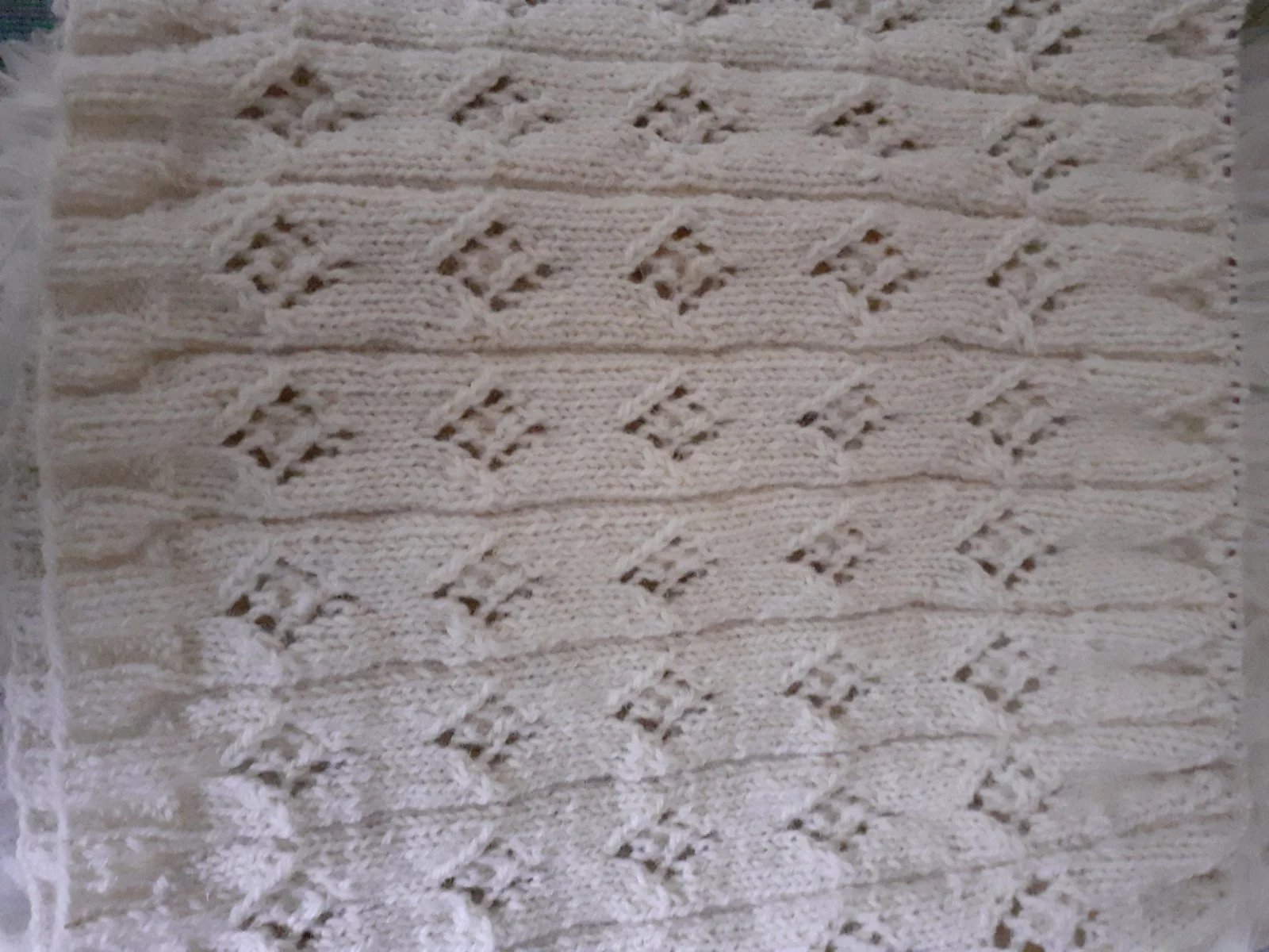 20230929_180849.jpg