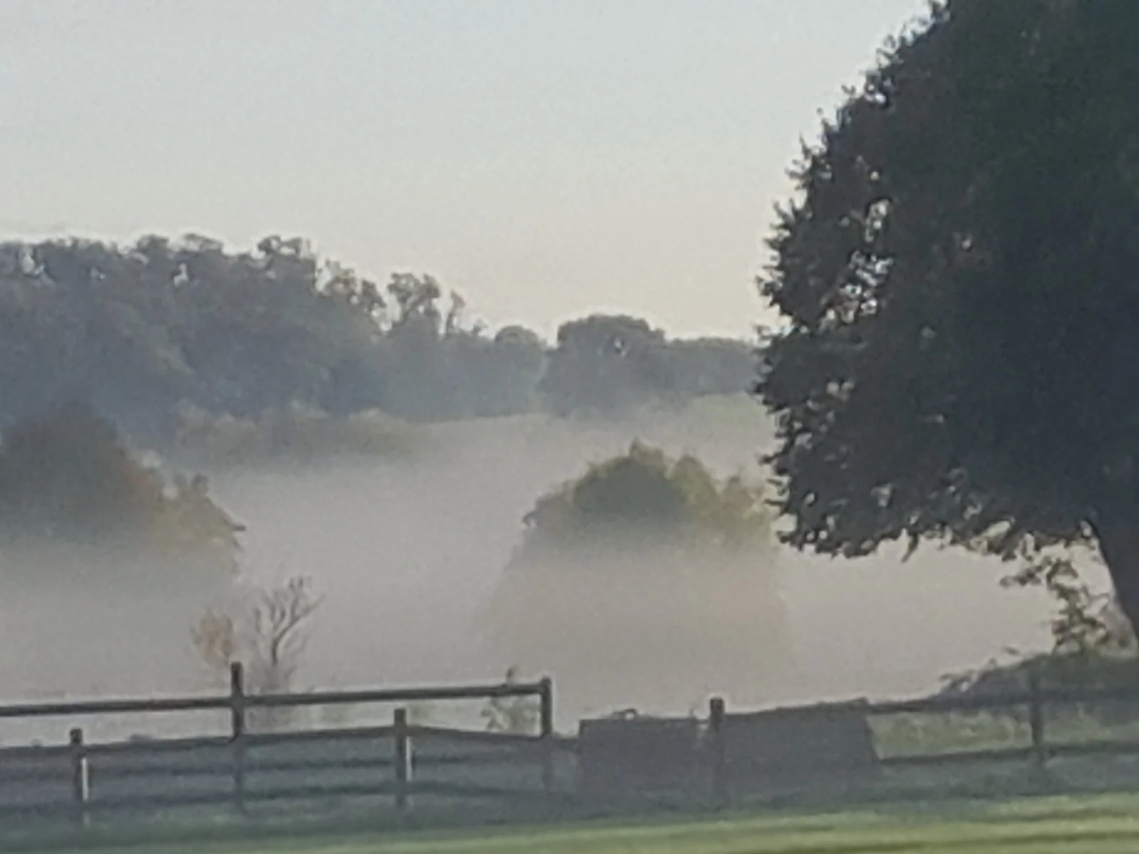 20231023_090206.jpg
