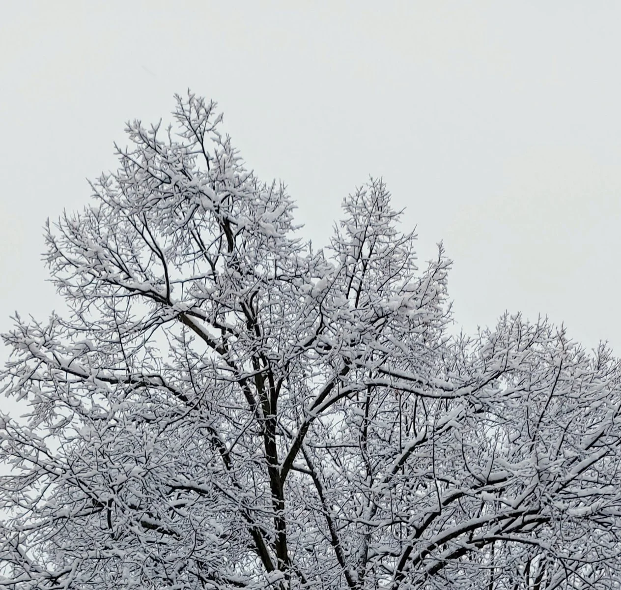 20231202_152054.jpg