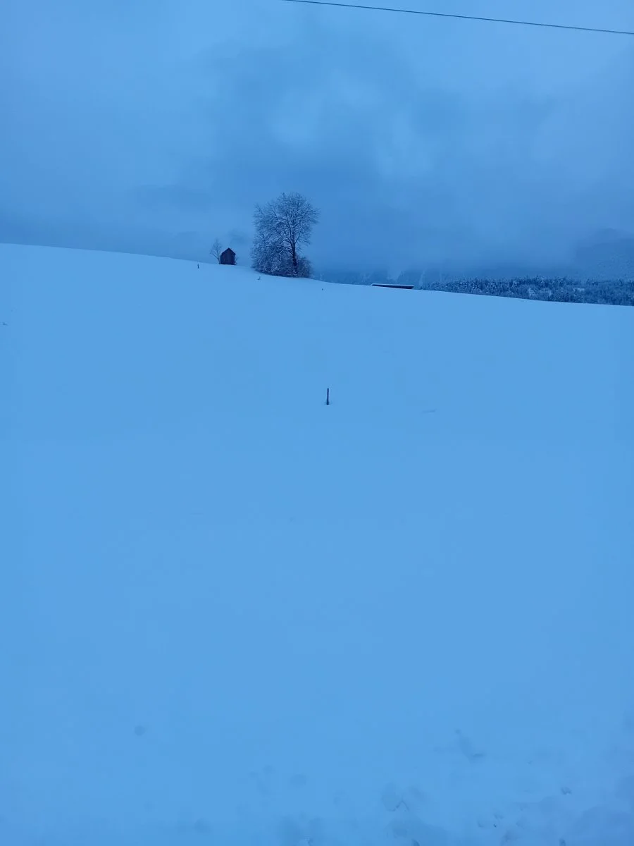 20231202_162214.jpg