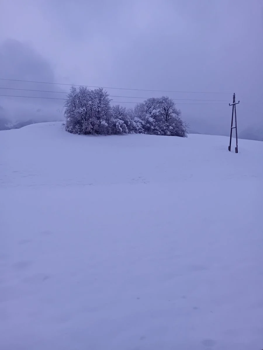 20231202_163929.jpg