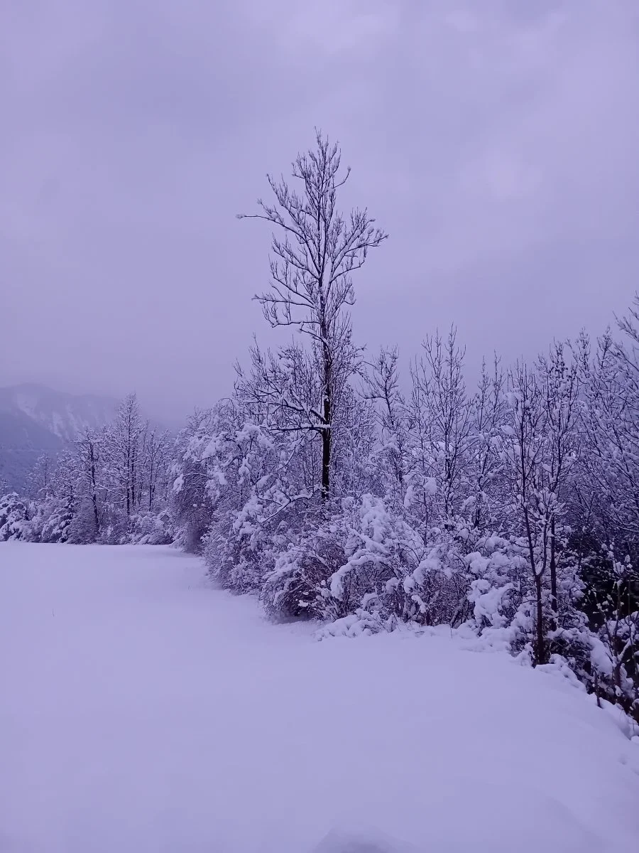 20231202_164217.jpg