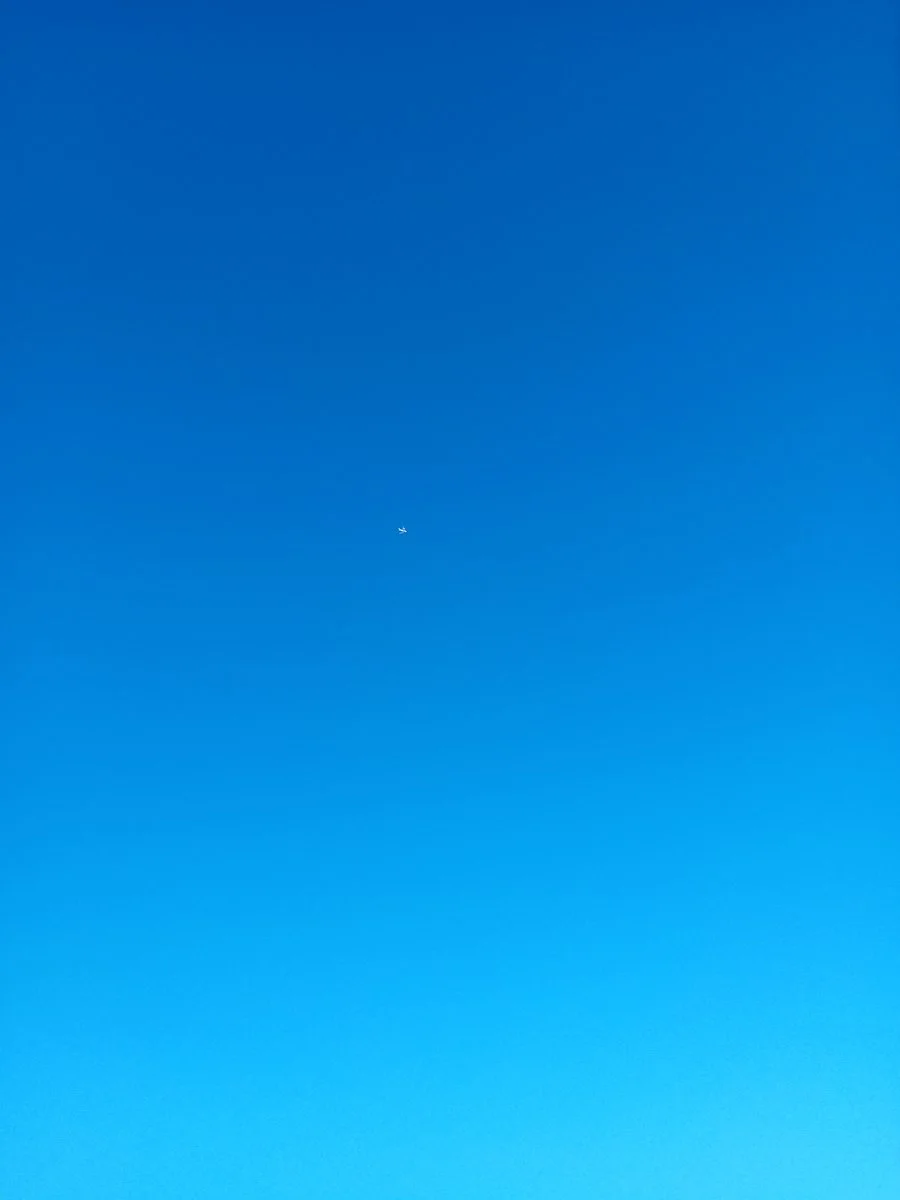 20231203_152440.jpg