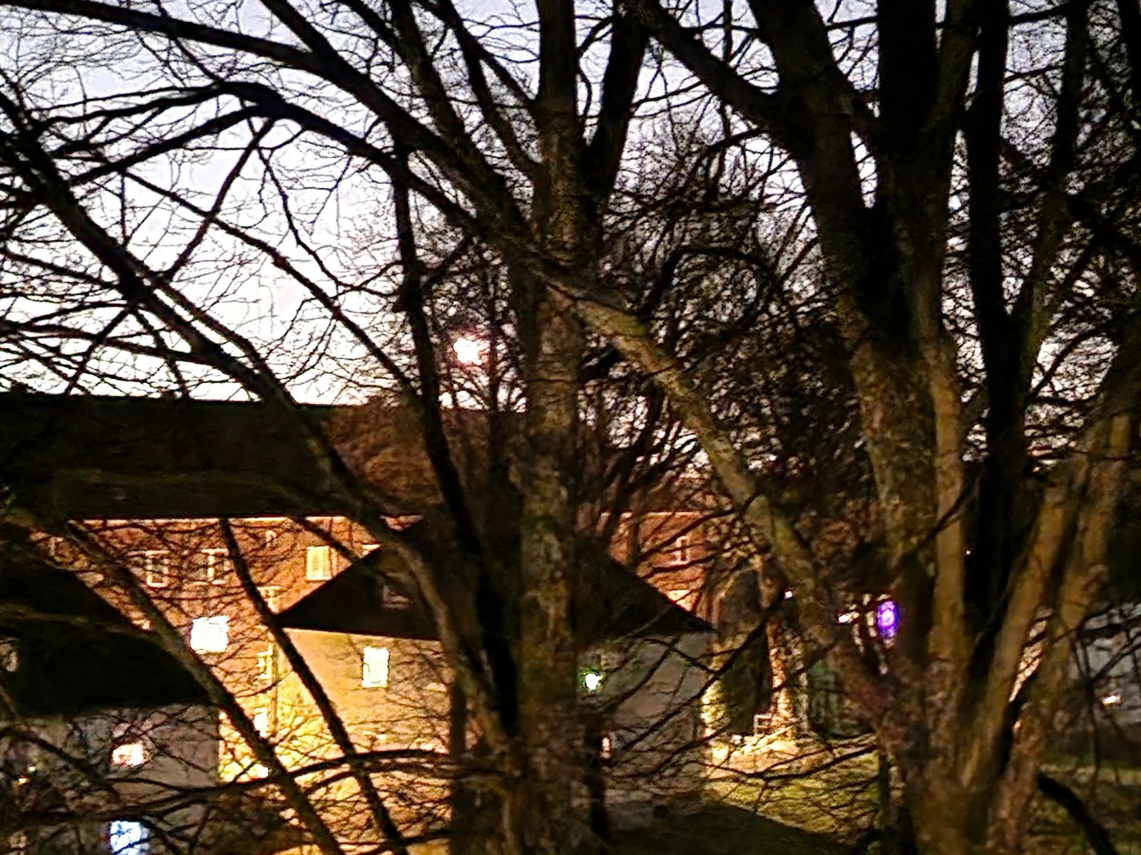20240227_215225.jpg