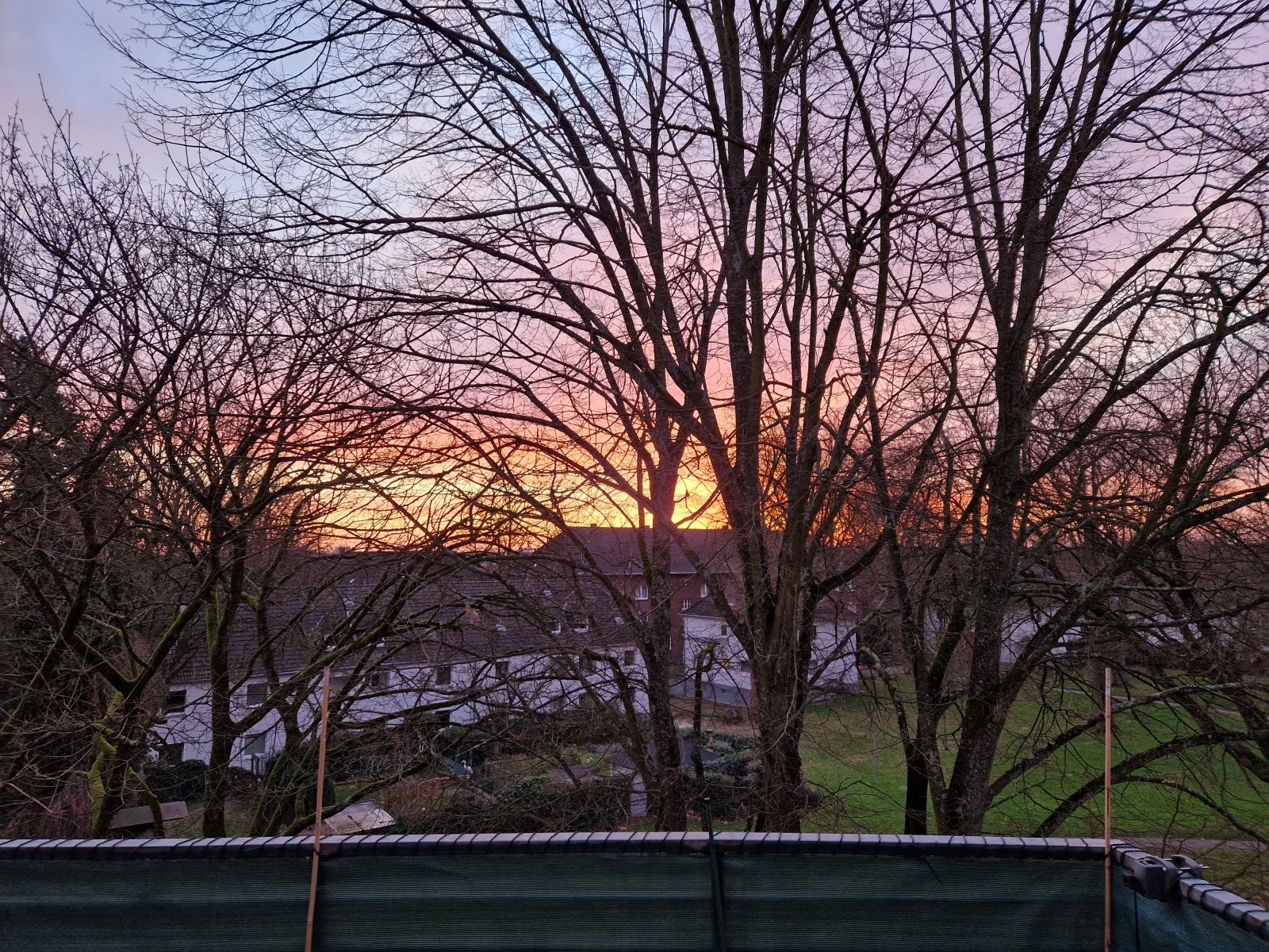 20240303_071115.jpg