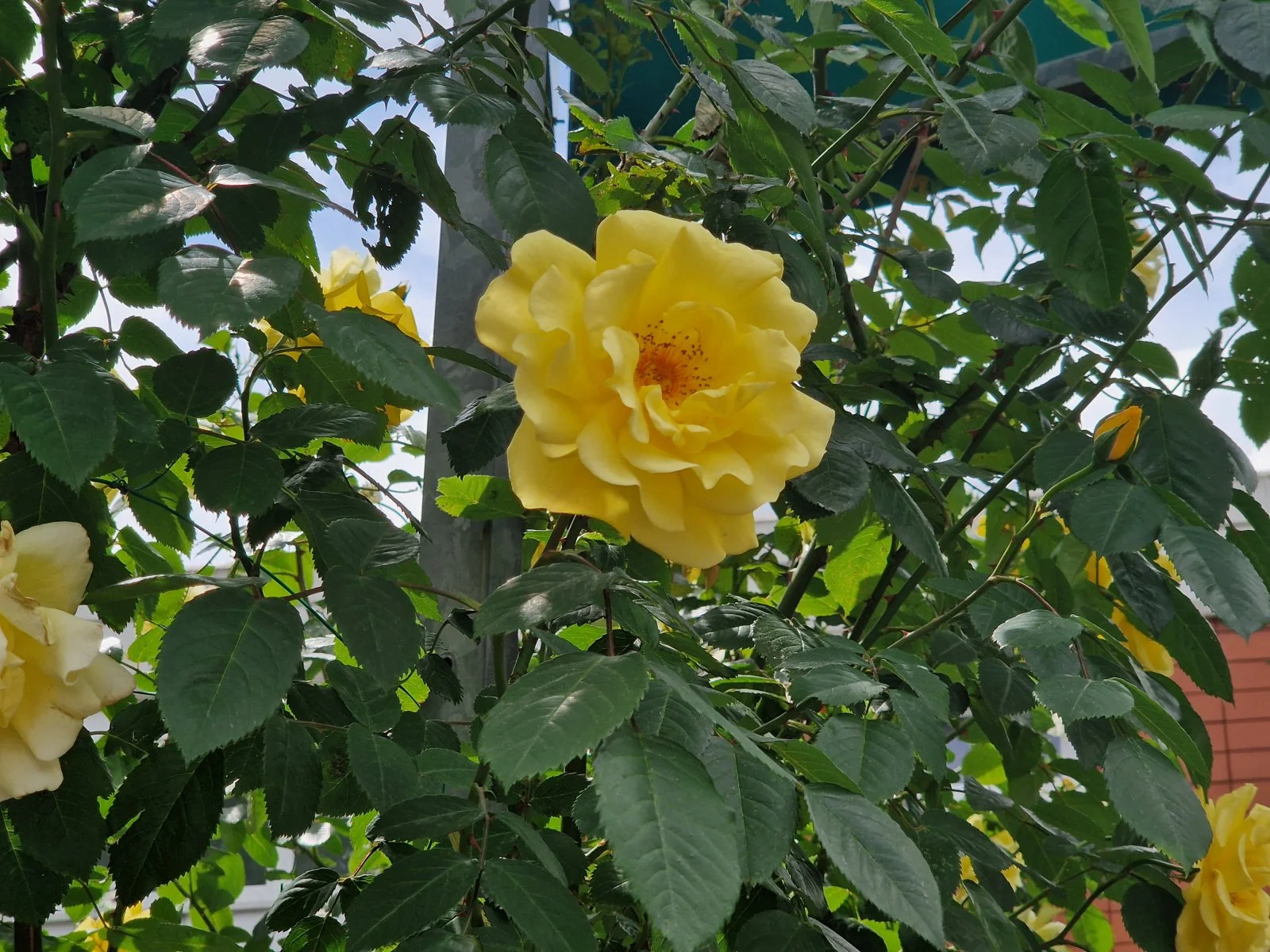 20240516_134111.jpg