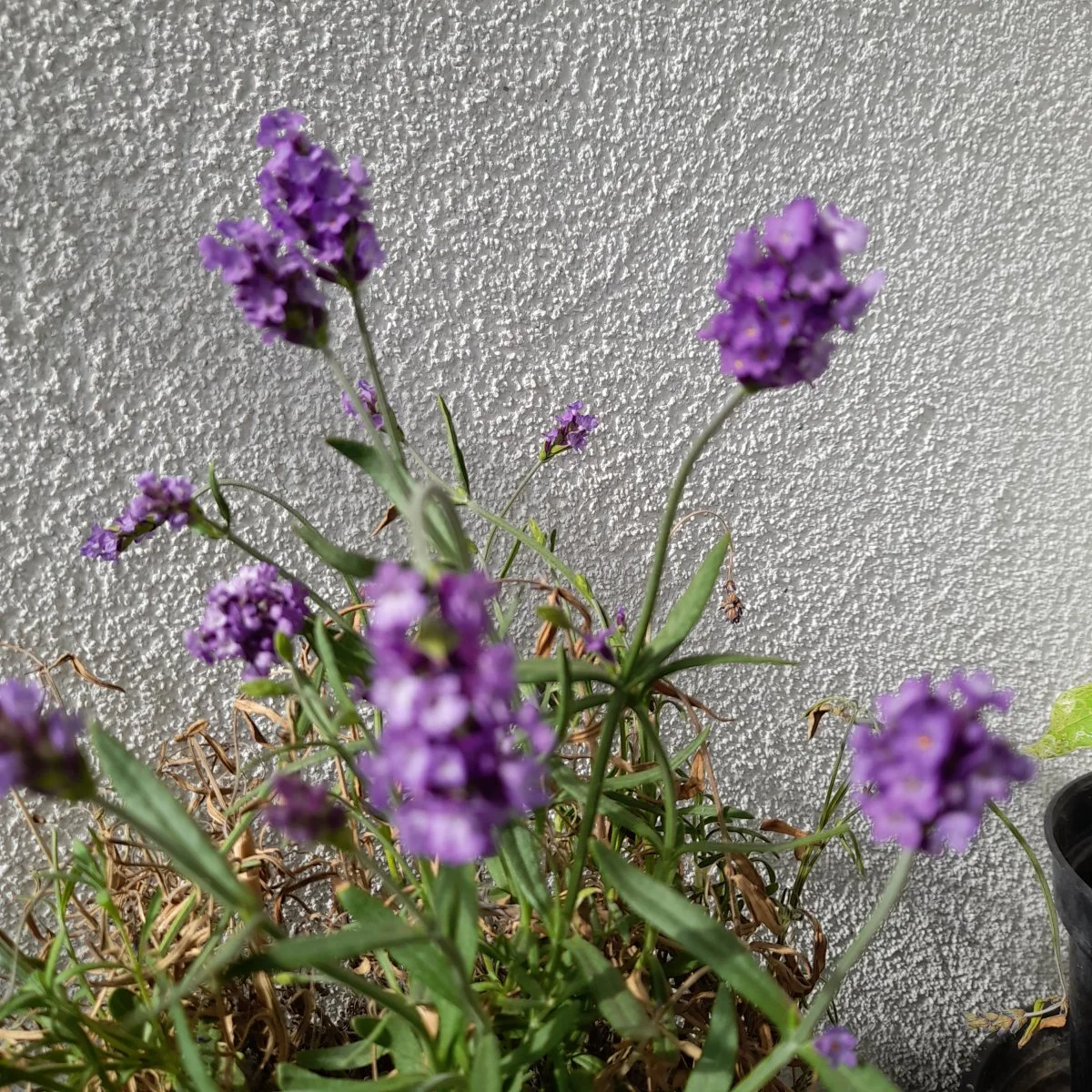 20240524_170812.jpg