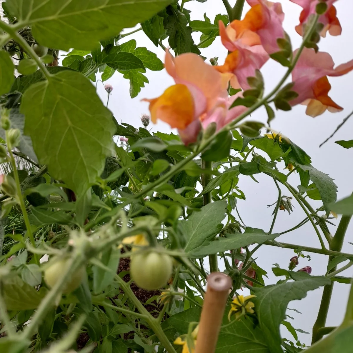 20240530_121355.jpg