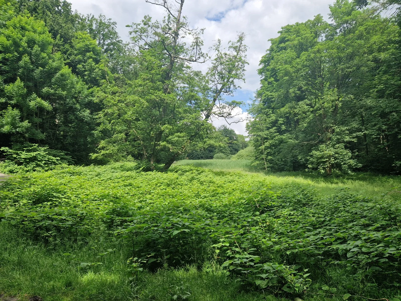 20240531_132243.jpg