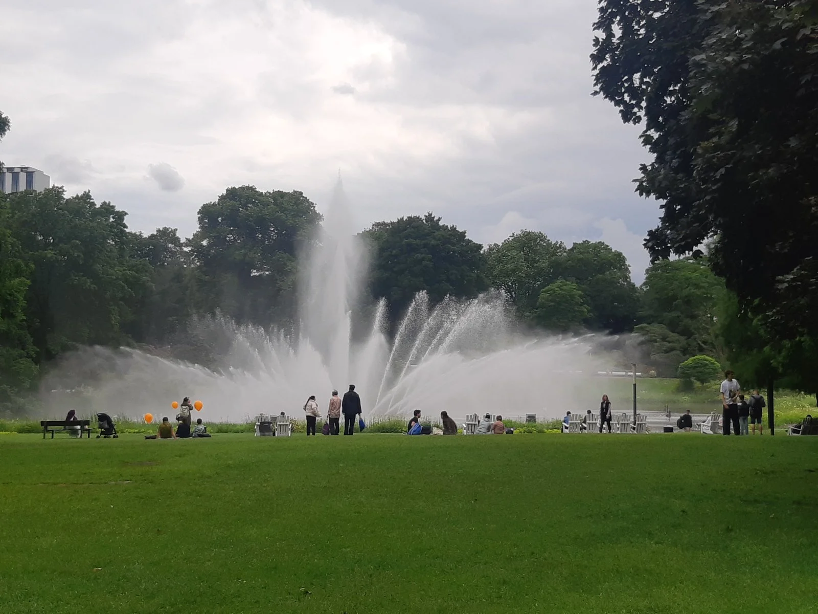 20240604_180146.jpg