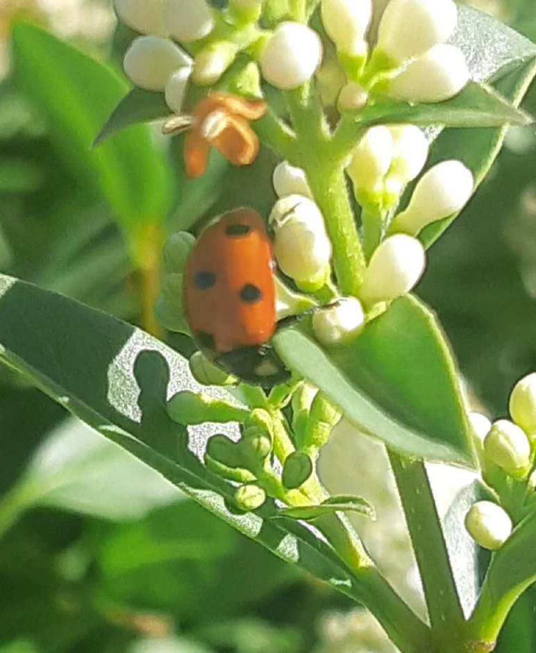 20240625_200223.jpg