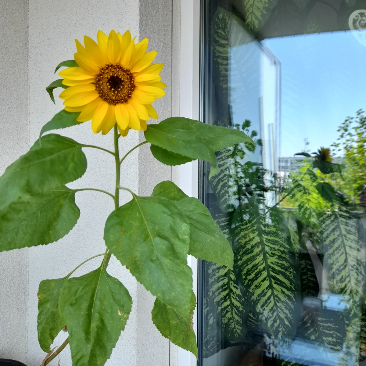20240721_133630.webp