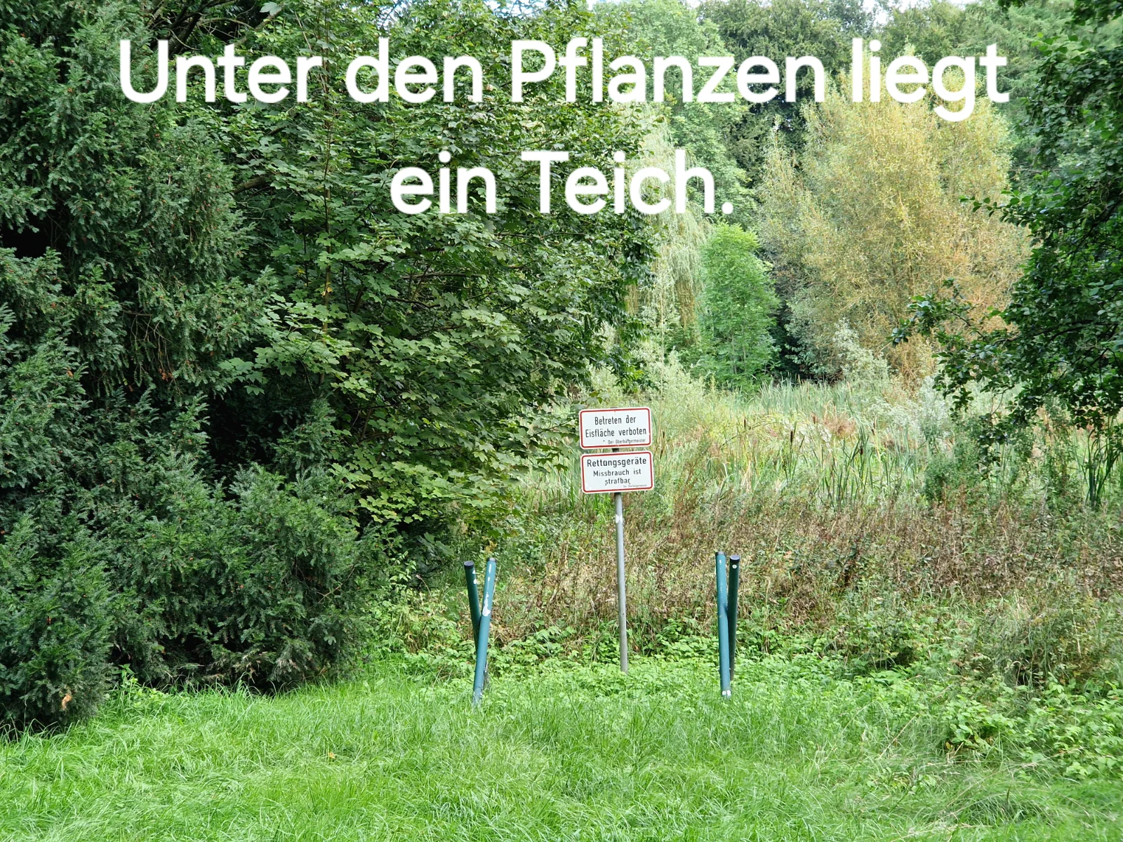 20240912_151126.webp