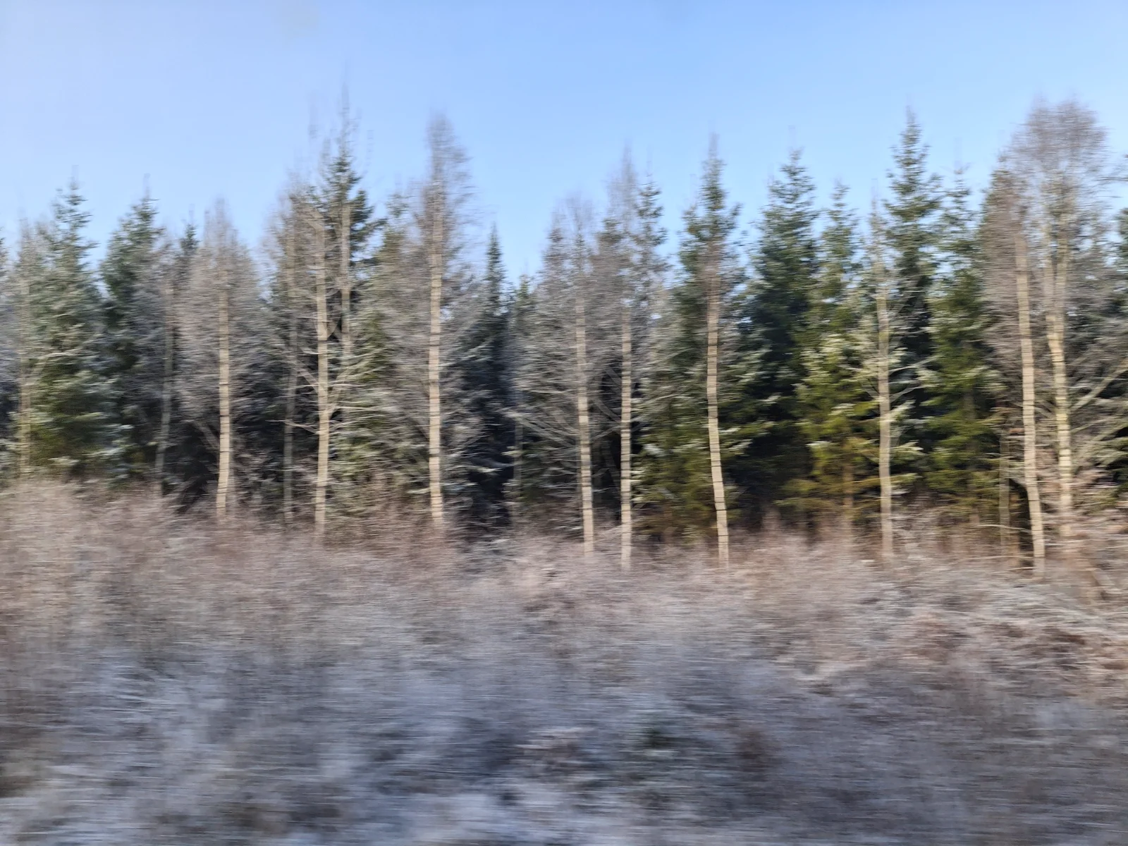 20241205_112247.webp