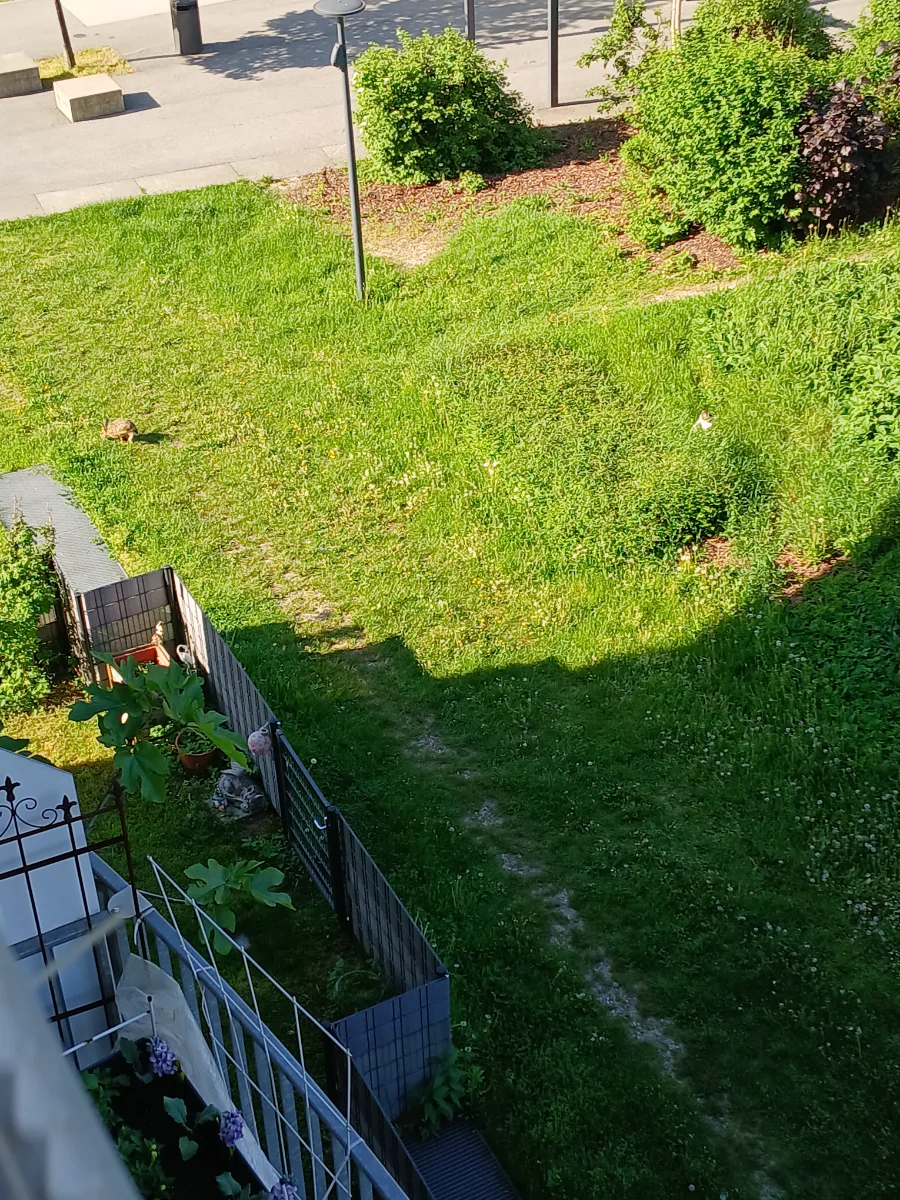 20250502_090120.webp